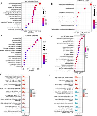 Transmembrane Protein 170B is a Prognostic Biomarker and Associated With Immune Infiltrates in Pancreatic Adenocarcinoma